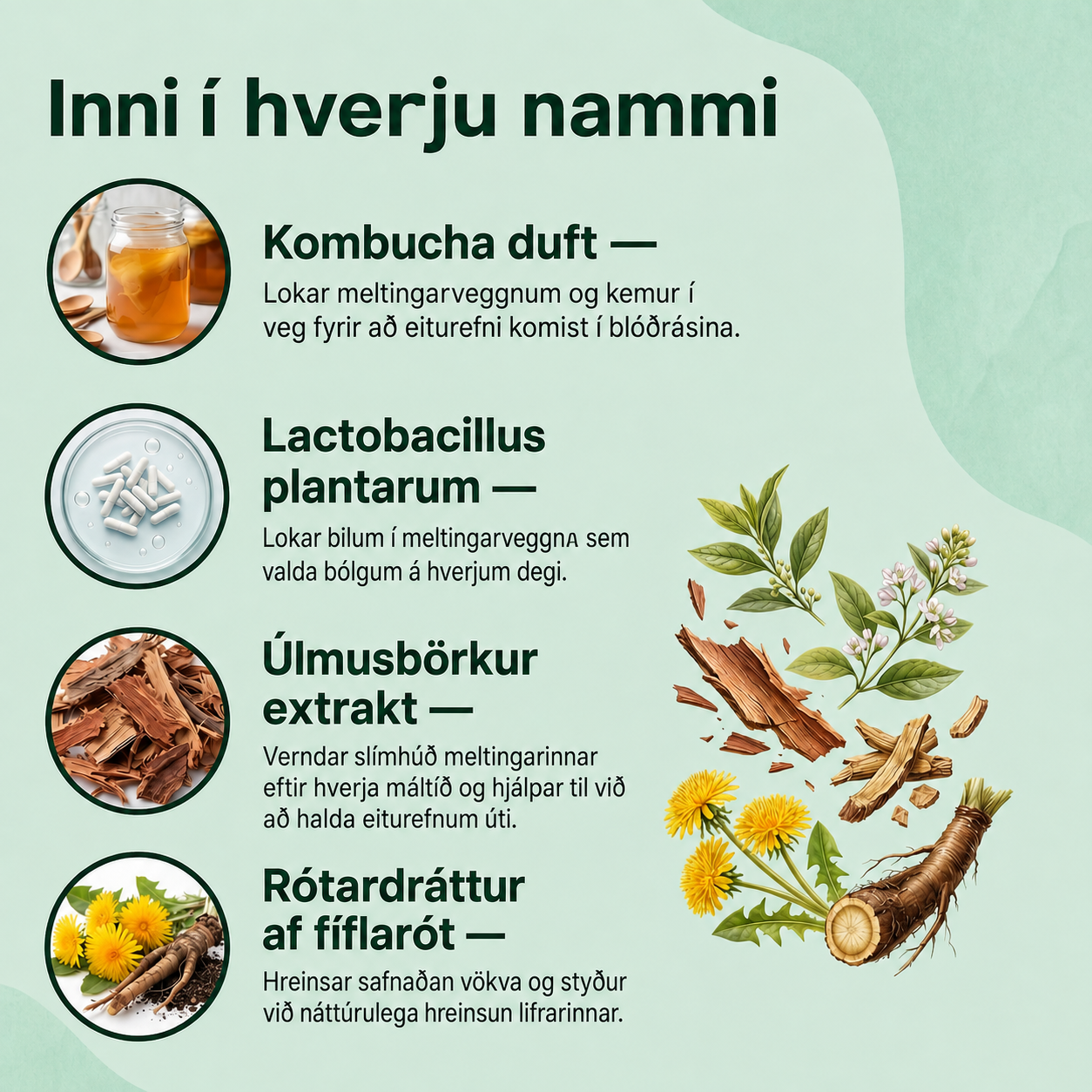 Próbiótískur kombúcha-gúmmí