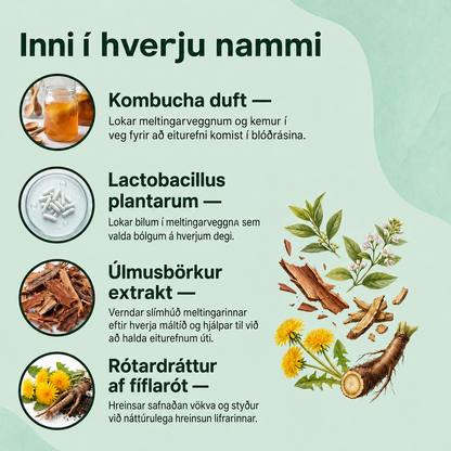 Próbiótískur kombúcha-gúmmí